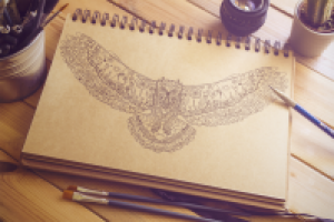 Раскраска. Сова