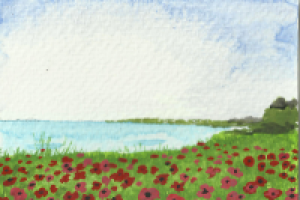 Маковое поле. Акварель