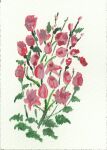 img2800645.png