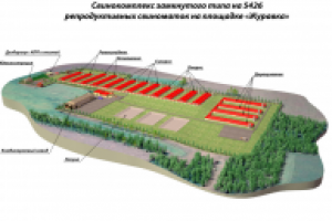 презентация