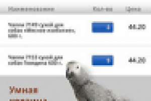 Дизайн мобильного приложения зоомагазина