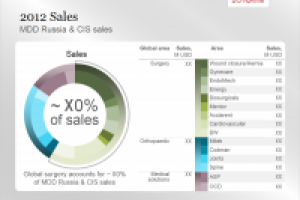 Конфиденц. презентации для крупной международной компании (>15)