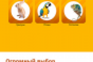 Дизайн мобильного приложения от зоомагазина