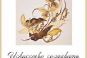 Постер с рекламой мастер-классов по флористике (3)