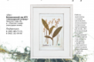 Постер с рекламой выставки гербариев