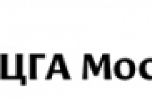 Логотип крупной бюджетной организации