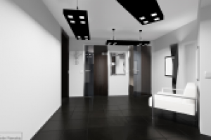 Дизайн интерьера таунхауса в стиле минимализм-монохром