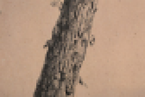 Графические зарисовки