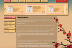 Дизайн интернет-магазина Японской косметики (конкурс)