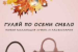 Афиши на витрину магазина Radley