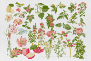 Заготовки для упаковки "Новый Крым". Россия