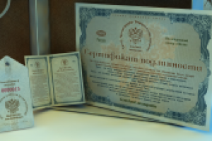 Элекменты фирменного стиля "Гжель"