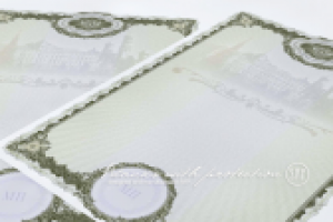 Бланк с защитой от подделки уровня "Б"