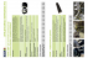 Работа 2753485