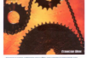 "Установка цепочки серверов сертификации..."