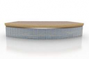 акт о нарушении должностных обязанностей директора фирмы