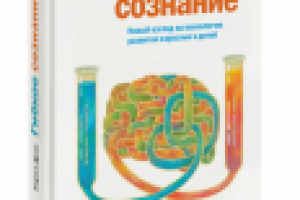 Рецензия на книгу Кэрол Дуэк "Гибкое сознание"