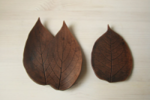 Декор керамики листьями