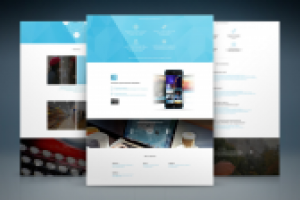 Работа 2817207