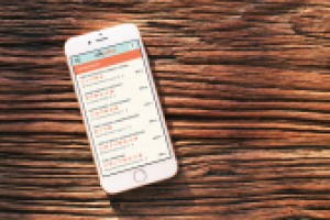 Работа 2817258