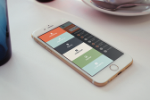 Работа 2817257