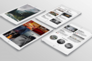 Работа 2817255