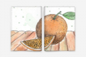 Обложка для паспорта с авторским принтом