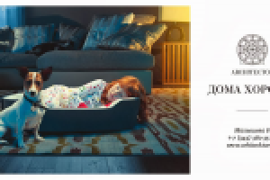 Архитектор