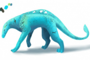 Бирюза. Дизайн животного