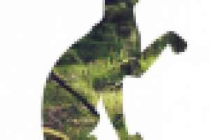 Простая аватарка для сообщества Вконтакте