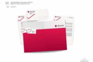 Фирменный стиль для центра бухгалтерского обслуживания "Абсолют"