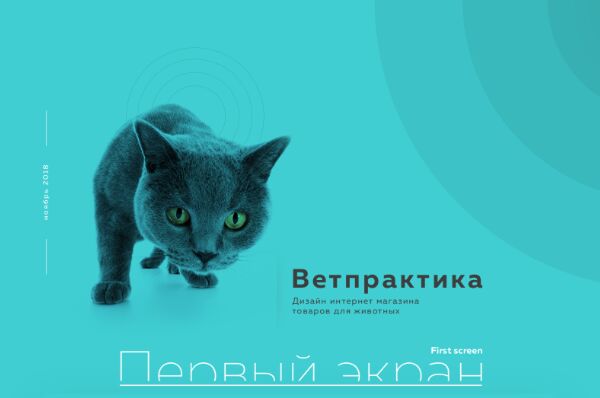Ветпрактика превью.png