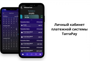 Личный кабинет платёжной системы TerraPay