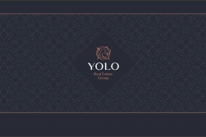 Логотип  |  Фирменный стиль  | Yolo