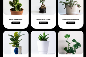 Лендинг для интернет-магазина комнатных растений