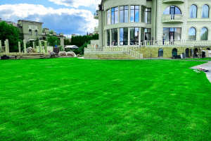 Устройство газона