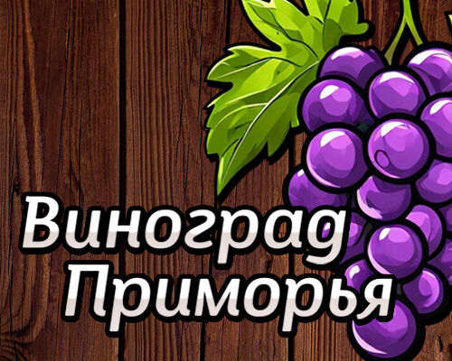 Баннер для ВК-сообщества