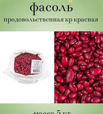img4255729.png