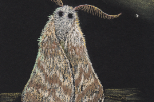 Ночной гость (пастель)