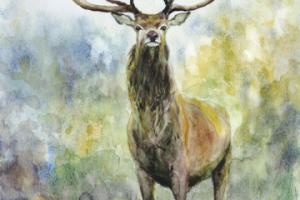 Олень (акварель)