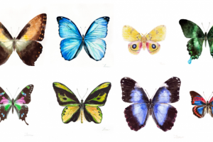 Бабочки (акварель)