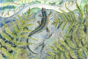 Рисунок "Хозяйка" (смешанная техника)