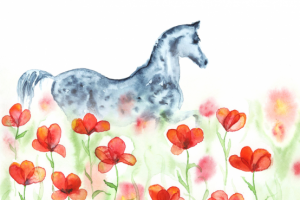 Конёк в маках (акварель)