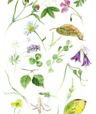 img4184207.png