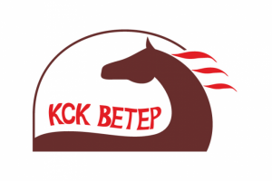 Логотип Ветер