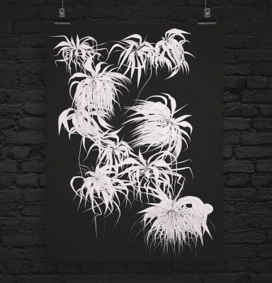 img3460204.png