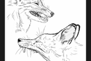 Эскиз лайнарт