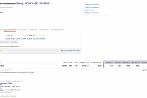 Ниша Шкафы-купе в СПБ Конверсия 19%