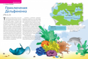 Сказка о Дельфиненке