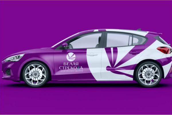 Фирменный стиль  |  Белая Стрекоза  | Бюро праздников